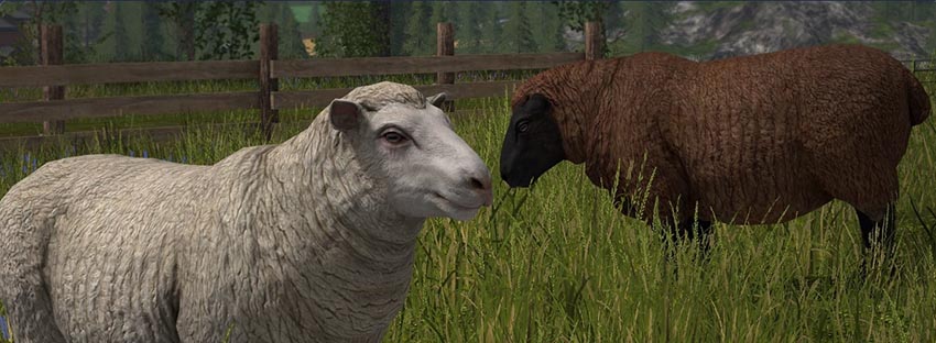 Farming Simulator 17 - Animals