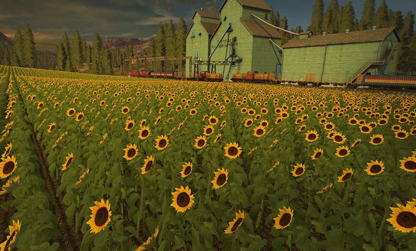 Farming Simulator 17 – New Crops FS17 mod