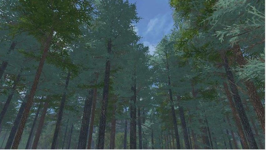 Placeable blue spruce V 1.0 