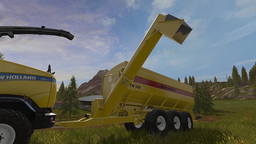 Bergmann GTW430 + Mod for more Filltypes and Colorpick v 1.0
