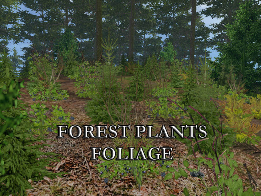FOREST PLANTS FOLIAGE V 1.0