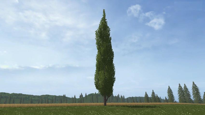 Placeable poplar V 1.0