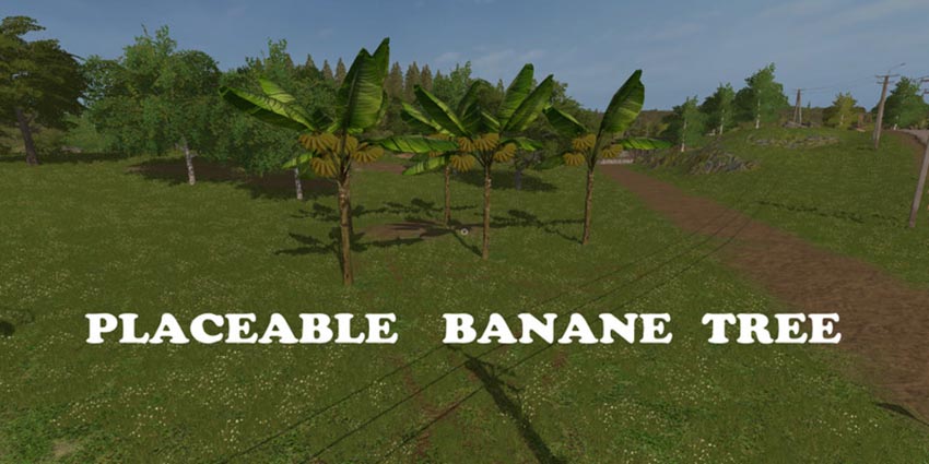 Placeable Banana Tree V 1.0