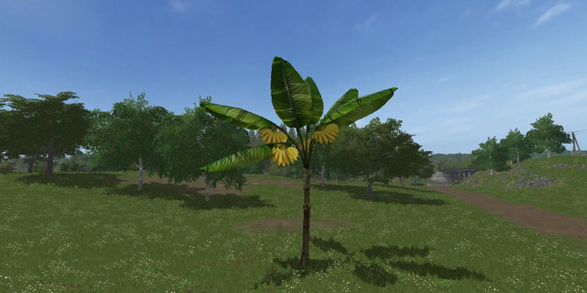 Placeable Banana Tree V 1.0