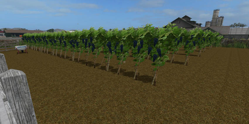 Grape Farm Placeable V 1.0 