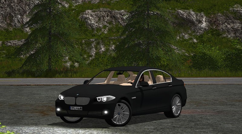 BMW 5 Series F10 V 1.0