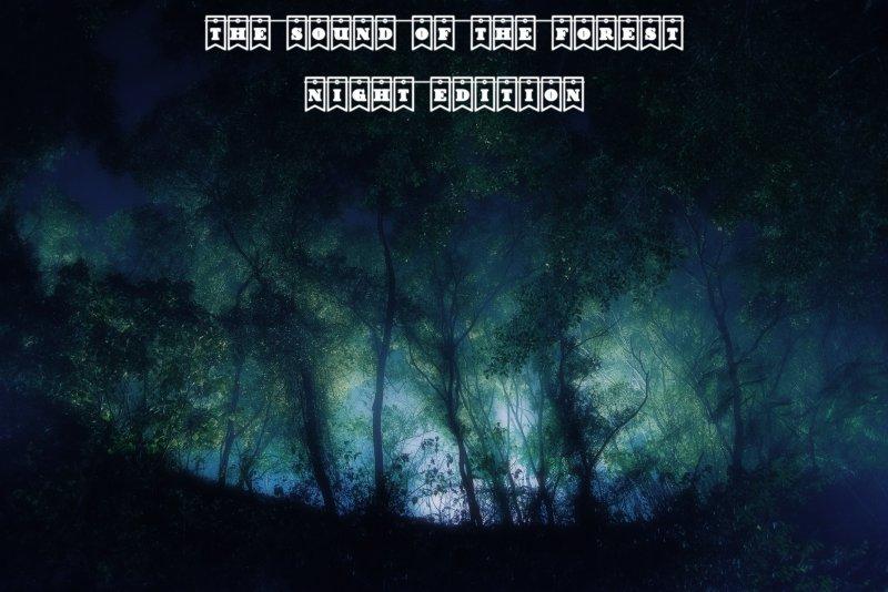 The Sound of the Forest (Night Edition) v 1.0